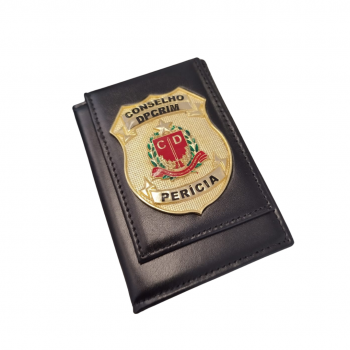 Carteira pericia DPCRIM